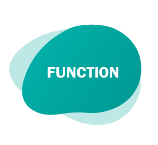 FUNCTION